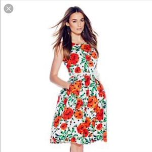 New York and company polka dot dress